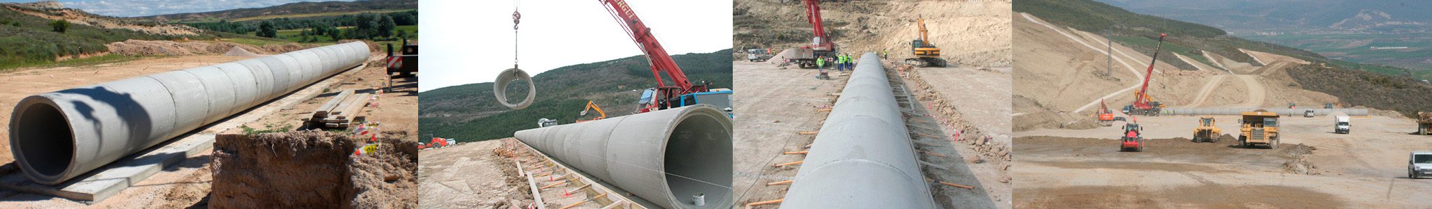 Imagen de la taxonomía