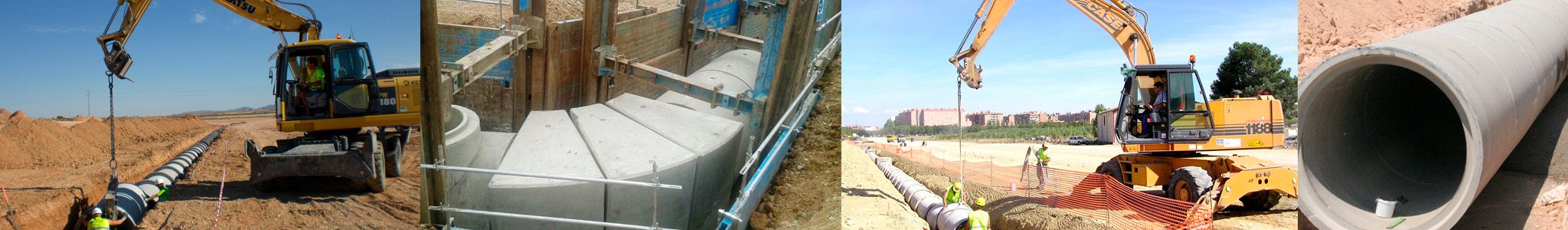 Imagen de la taxonomía